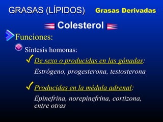 Funciones: GRASAS (LÍPIDOS) Grasas Derivadas Colesterol Síntesis homonas: De sexo o producidas en las gónadas : Estrógeno, progesterona, testosterona Producidas en la médula adrenal : Epinefrina, norepinefrina, cortizona, entre otras 