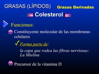Funciones: Constituyente molecular de las membranas celulares GRASAS (LÍPIDOS) Grasas Derivadas Colesterol Forma parte de : la capa que rodea las fibras nerviosas: La Mielina Precursor de la vitamina D 