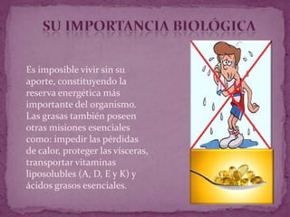  Es imposible vivir sin su
aporte, constituyendo la
reserva energética más
importante del organismo.
Las grasas también poseen
otras misiones esenciales
como: impedir las pérdidas
de calor, proteger las vísceras,
transportar vitaminas
liposolubles (A, D, E y K) y
ácidos grasos esenciales.
 