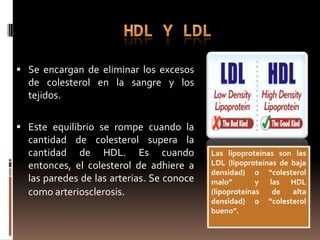 Se encargan de eliminar los excesos
  de colesterol en la sangre y los
  tejidos.

 Este equilibrio se rompe cuando la
  cantidad de colesterol supera la
  cantidad de HDL. Es cuando               Las lipoproteínas son las
  entonces, el colesterol de adhiere a     LDL (lipoproteínas de baja
                                           densidad) o “colesterol
  las paredes de las arterias. Se conoce   malo”        y las HDL
  como arteriosclerosis.                   (lipoproteínas   de   alta
                                           densidad) o “colesterol
                                           bueno”.
 