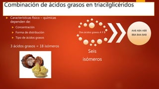 Combinación de ácidos grasos en triacilglicéridos
 Características físico – químicas
dependen de:
 Concentración
 Forma de distribución
 Tipo de ácidos grasos
Dos ácidos grasos A Y B
Seis
isómeros
AAB ABA ABB
BBA BAA BAB
3 ácidos grasos = 18 isómeros
 