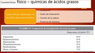 Características físico – químicas de ácidos grasos
• Localización
• Grado de instauración
• Tamaño de la cadena
• Presencia de isómeros.
Cuatro factores relacionados con
los ácidos grasos que contienen:
 