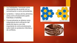  Los fosfolípidos funcionan como
antioxidantes de acuerdo con su
concentración o como prooxidantes.
 La lecitina = textura de los alimentos,
actúa como emulsionante (parte
hidrófoba e hidrófila)
 Comercialmente se obtiene como
subproducto de la refinación del
aceite de soya su uso más
importante es como emulsionante,
sobre todo en productos infantiles y
de confitería.
 