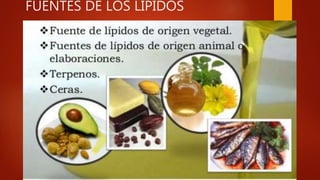 FUENTES DE LOS LIPIDOS
 