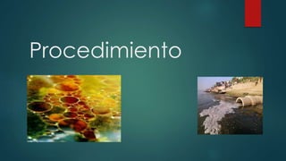 Procedimiento
 