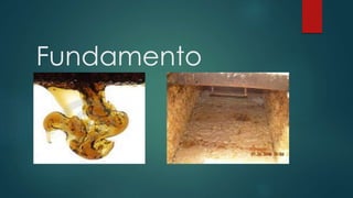 Fundamento
 