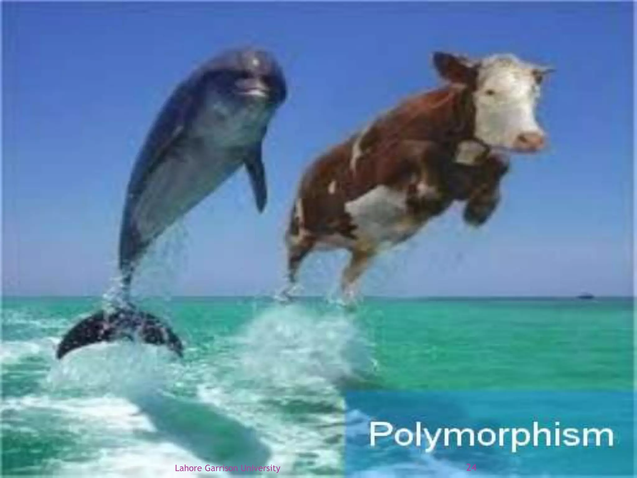 Lahore Garrison University 24 
 