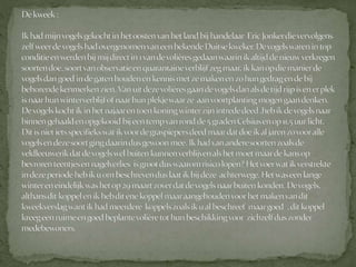 Graspieper powerpoint