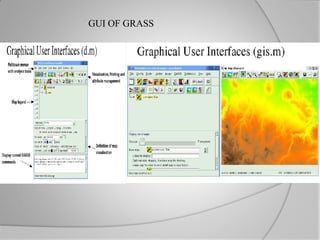 Grass | PDF