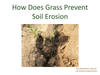 How Does Grass Prevent
Soil Erosion
This PowerPoint is part of
the Science Projects Series
 