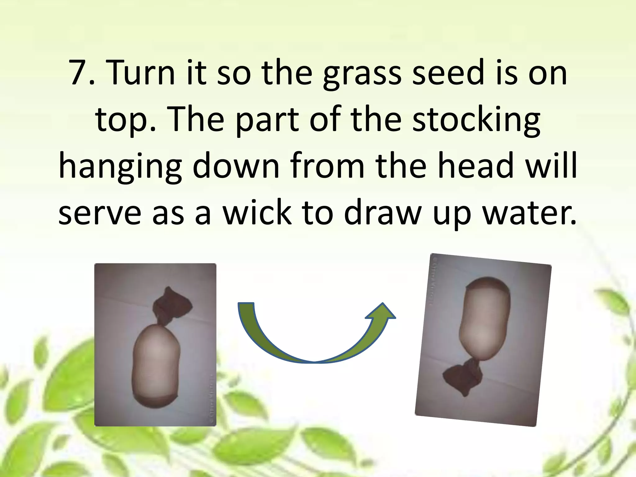 7. Turn it so the grass seed is on
top. The part of the stocking
hanging down from the head will
serve as a wick to draw up water.