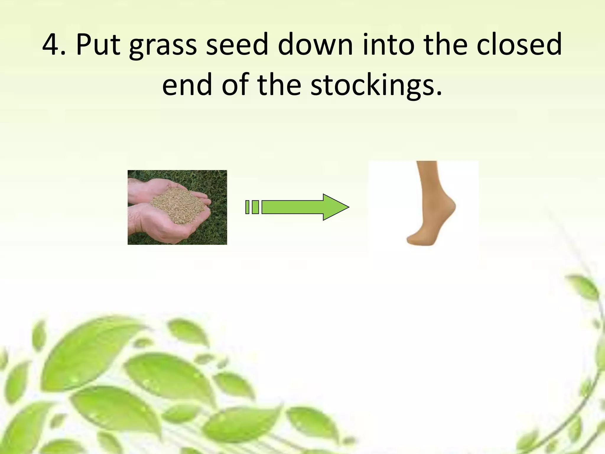 4. Put grass seed down into the closed
end of the stockings.