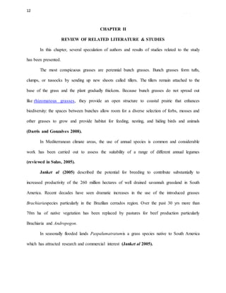 12
CHAPTER II
REVIEW OF RELATED LITERATURE & STUDIES
In this chapter, several speculation of authors and results of studies related to the study
has been presented.
The most conspicuous grasses are perennial bunch grasses. Bunch grasses form tufts,
clumps, or tussocks by sending up new shoots called tillers. The tillers remain attached to the
base of the grass and the plant gradually thickens. Because bunch grasses do not spread out
like rhizomatous grasses, they provide an open structure to coastal prairie that enhances
biodiversity: the spaces between bunches allow room for a diverse selection of forbs, mosses and
other grasses to grow and provide habitat for feeding, nesting, and hiding birds and animals
(Darris and Gonzalves 2008).
In Mediterranean climate areas, the use of annual species is common and considerable
work has been carried out to assess the suitability of a range of different annual legumes
(reviewed in Sulas, 2005).
Janket al (2005) described the potential for breeding to contribute substantially to
increased productivity of the 260 million hectares of well drained savannah grassland in South
America. Recent decades have seen dramatic increases in the use of the introduced grasses
Brachiariaspecies particularly in the Brazilian cerrados region. Over the past 30 yrs more than
70m ha of native vegetation has been replaced by pastures for beef production particularly
Brachiaria and Andropogon.
In seasonally flooded lands Paspalumatratumis a grass species native to South America
which has attracted research and commercial interest (Janket al 2005).
 
