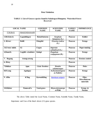 19
Data Tabulation
TABLE 1: List of Grasses species found in Saladengen-Dimapatoy Watershed Forest
Reserved
LOCAL NAME COMMON
NAME
SCIENTIFIC
NAME
FAMILY
NAME
IMPORTANCE
T’DURAY MAGUINDANAON
1.Běrěnteek Lagumbingan Batad-bataran Sorghum
hatepense (L.)
Poaceae Fodder
2. Rěwer Balili Palagtiki Eleusine indica
(L.)
Poaceae Forage
3.K’roon tudok Gi Cogon Imperata
cylindrical (L.)
Poaceae Paper-making
4.Runsěk Lagidit a kalabaw Kulapi Paspalum
conjugatum (B.)
Poaceae Forage
7. Bagang Awang-awang Poaceae Erosion control
6. Riray Poaceae
7.Bulkao Apus Giant Bamboo Dendro
calamusasper
Poaceae Poles
8.R’yong Aguingay Ischaemumrugosu
m (Salisb.)
Poaceae Forage
9. Affus K’ling KawanKiling Bambusa vulgaris Poaceae Fibre.
Miscellaneous
materials
10.Rikitor Panussul’n Natal grass Rhyncelytrumrepe
nsWild.
Poaceae Forage &
Pasture
The above Table stated the Local Name, Common Name, Scientific Name, Family Name,
Importance and Uses of the listed eleven (11) grass species.
 