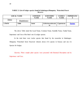 20
TABLE 2: List of Sedges species found in Saladengen-Dimapatoy Watershed Forest
Reserve
LOCAL NAME COMMON
NAME
SCIENTIFIC
NAME
FAMILY
NAME
IMPORTANC
E
Tiduray
Maguindanaon
1.Tiwl’d Talid Sarat Schleriascrubecula
ta
Cyperaceae Pasture
The above Table stated the Local Name, Common Name, Scientific Name, Family Name,
Importance and Uses of the listed one (1) sedges species.
In the total there were twelve species that found by the researcher in Saladengen-
Dimapatoy Watershed forest Reserved wherein eleven (11) species in Grasses and one (1)
Species for Sedges.
Likewise, Photo sample plant species were presented with Botanical Description and its
Importance and Uses.
 
