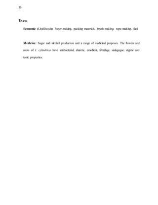 29
Uses:
Economic (Livelihood): Paper-making, packing materials, brush-making, rope-making, fuel.
Medicine: Sugar and alcohol production and a range of medicinal purposes. The flowers and
roots of I. cylindrica have antibacterial, diuretic, emollient, febrifuge, sialagogue, styptic and
tonic properties.
 