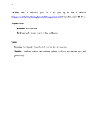 31
Anything else: It particularly grows in a wet place up to 950 m elevation
(http://www.comfsm.fm/~dleeling/botany/1999/vhp/paspalum.html Retrieved on January 24, 2015).
Importance:
Economic; Fodder/Forage.
Environmental: Erosion control or dune stabilization
Uses:
Economic (Livelihood): Chicken's stock reserved for every day uses.
Medicine: vertebrate poisons, non-vertebrate poisons, medicines, environmental uses, and
gene sources,
 