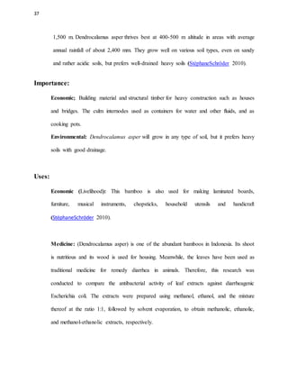 37
1,500 m. Dendrocalamus asper thrives best at 400-500 m altitude in areas with average
annual rainfall of about 2,400 mm. They grow well on various soil types, even on sandy
and rather acidic soils, but prefers well-drained heavy soils (StéphaneSchröder 2010).
Importance:
Economic; Building material and structural timber for heavy construction such as houses
and bridges. The culm internodes used as containers for water and other fluids, and as
cooking pots.
Environmental: Dendrocalamus asper will grow in any type of soil, but it prefers heavy
soils with good drainage.
Uses:
Economic (Livelihood): This bamboo is also used for making laminated boards,
furniture, musical instruments, chopsticks, household utensils and handicraft
(StéphaneSchröder 2010).
Medicine: (Dendrocalamus asper) is one of the abundant bamboos in Indonesia. Its shoot
is nutritious and its wood is used for housing. Meanwhile, the leaves have been used as
traditional medicine for remedy diarrhea in animals. Therefore, this research was
conducted to compare the antibacterial activity of leaf extracts against diarrheagenic
Escherichia coli. The extracts were prepared using methanol, ethanol, and the mixture
thereof at the ratio 1:1, followed by solvent evaporation, to obtain methanolic, ethanolic,
and methanol-ethanolic extracts, respectively.
 
