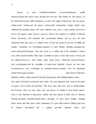 4
Grasses, or more technically Graminoids, are monocotyledonous, usually
herbaceous plants with narrow leaves growing from the base. They include the "true grasses", of
the family Poaceae (also called Gramineae), as well as the sedges (Cyperaceae). The true grasses
include cereals, bamboo and the grasses of lawns (turf) and grassland. Sedges include many
wildmarsh and grassland plants, and some cultivated ones such as water chestnut (Eleocharis
dulcis) and papyrus sedge (Cyperus papyrus). Grasses have adapted to conditions in lush rain
forests, dry deserts, cold mountains and even intertidal habitats, and are now the most
widespread plant type; grass is a valuable source of food and energy for all sorts of wildlife and
organics. Graminoids are the dominant vegetation in many habitats, including grassland, salt-
marsh, reedswamp and steppes. They also occur as a smaller part of the vegetation in almost
every other terrestrial habitat. Many types of animals eat grass as their main source of food, and
are called graminivores – these include cattle, sheep, horses, rabbits and many invertebrates,
such as grasshoppers and the caterpillars of many brown butterflies. Grasses are also eaten
by omnivorous or even occasionally by primarily carnivorous animals. Uses for graminoids
include food (as grain, sprouted grain, shoots or rhizomes),
drink(beer, whisky, vodka), pasture for livestock, thatch, paper, fuel, clothing,insulation, constru
ction, sports turf, basket weaving and many others. The most important food crops are the grains
of grasses such as wheat, rice and barley. They have many other uses, such as feeding animals,
and for lawns. There are many minor uses, and grasses are familiar to most human cultures.
Grass is also important in many sports, notably with those played on fields such as American
football, Association football, baseball, cricket, and rugby. In some sports facilities, including
indoor domes and other places where maintenance of a grass field would be difficult, grass may
be replaced with artificial turf, a synthetic grass-like substitute. Sports such
 