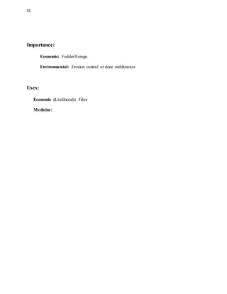 41
Importance:
Economic; Fodder/Forage.
Environmental: Erosion control or dune stabilization
Uses:
Economic (Livelihood): Fibre
Medicine:
 