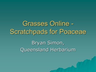 Grasses Online -
Scratchpads for Poaceae
       Bryan Simon,
   Queensland Herbarium
 