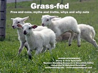 Grass-fedPros and cons, myths and truths, whys and why nots SUSAN SCHOENIANSheep & Goat SpecialistWestern Maryland Research & Education CenterUniversity of Maryland Extensionsschoen@umd.edu – www.sheepandgoat.com 