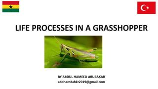 LIFE PROCESSES IN A GRASSHOPPER
BY ABDUL HAMEED ABUBAKAR
abdhamdabkr2019@gmail.com
 