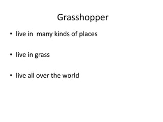 Grasshopperlive in  many kinds of placeslive in grasslive all over the world