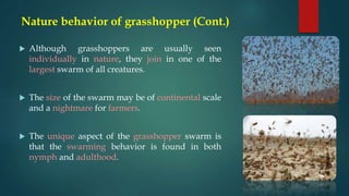 Grasshopper optimization algorithm | PPT