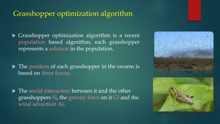 Grasshopper optimization algorithm | PPTX