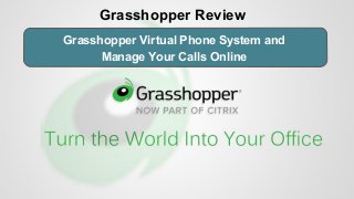 Grasshopper Virtual Phone System and
Manage Your Calls Online
Grasshopper Review
 