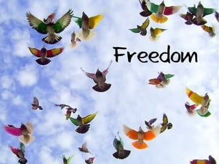 Freedom
 