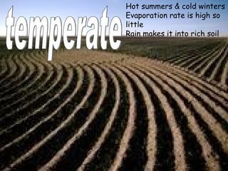 temperate Hot summers & cold winters Evaporation rate is high so little Rain makes it into rich soil 
