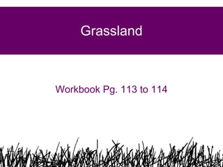 Grassland Workbook Pg. 113 to 114 
