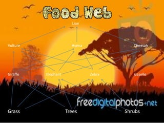 Lion




Vulture                Hyena              Cheetah




Giraffe   Elephant             Zebra      Gazelle




Grass                Trees             Shrubs
 