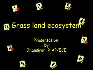 Grass land ecosystem
Presentation
by
Jhansirani.R AP/ECE
 