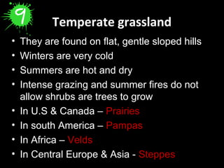 Temperate grassland
• They are found on flat, gentle sloped hills
• Winters are very cold
• Summers are hot and dry
• Intense grazing and summer fires do not 
allow shrubs are trees to grow
• In U.S & Canada – Prairies
• In south America – Pampas
• In Africa – Velds
• In Central Europe & Asia - Steppes
 