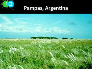 Pampas, Argentina
 