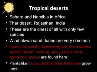 Tropical deserts
• Sahara and Namibia in Africa
• Thar desert, Rajasthan, India
• These are the driest of all with only few
species
• Wind blown sand dunes are very common
• Camel, Armadillo, Bandicoot, Bat, Black widow
spider, Desert Tortoise, spiny-tailed lizard,
scorpions, snakes are found here
• Plants like Cactus, Joshua tree, Palm tree grow
here.
 