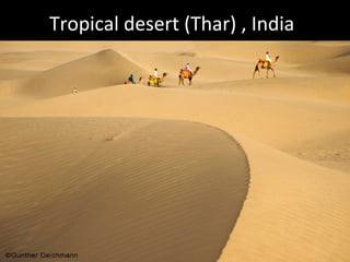 Tropical desert (Thar) , India
 