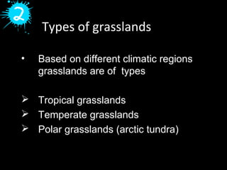 Types of grasslands
• Based on different climatic regions
grasslands are of types
 Tropical grasslands
 Temperate grasslands
 Polar grasslands (arctic tundra)
 