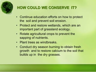 HOW COULD WE CONSERVE IT?
• Continue education efforts on how to protect
the soil and prevent soil erosion.
• Protect and restore wetlands, which are an
important part of grassland ecology.
• Rotate agricultural crops to prevent the
sapping of nutrients.
• Plant trees as windbreaks.
• Conduct dry season burning to obtain fresh
growth and to restore calcium to the soil that
builds up in the dry grasses.
 