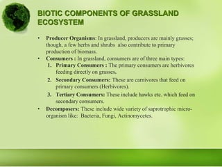 BIOTIC COMPONENTS OF GRASSLAND
ECOSYSTEM
• Producer Organisms: In grassland, producers are mainly grasses;
though, a few herbs and shrubs also contribute to primary
production of biomass.
• Consumers : In grassland, consumers are of three main types:
1. Primary Consumers : The primary consumers are herbivores
feeding directly on grasses.
2. Secondary Consumers: These are carnivores that feed on
primary consumers (Herbivores).
3. Tertiary Consumers: These include hawks etc. which feed on
secondary consumers.
• Decomposers: These include wide variety of saprotrophic micro-
organism like: Bacteria, Fungi, Actinomycetes.
 