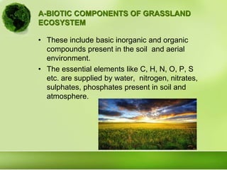 A-BIOTIC COMPONENTS OF GRASSLAND
ECOSYSTEM
• These include basic inorganic and organic
compounds present in the soil and aerial
environment.
• The essential elements like C, H, N, O, P, S
etc. are supplied by water, nitrogen, nitrates,
sulphates, phosphates present in soil and
atmosphere.
 
