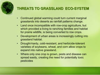 THREATS TO GRASSLAND ECO-SYSTEM
• Continued global warming could turn current marginal
grasslands into deserts as rainfall patterns change.
• Land once incompatible with row-crop agriculture, but
which provided a living to ranching families and habitat
for prairie wildlife, is being converted to row crops.
• Development of urban areas is increasingly cutting into
grassland habitat.
• Drought-hardy, cold-resistant, and herbicide-tolerant
varieties of soybeans, wheat, and corn allow crops to
expand into native grassland.
• Where only one crop is grown, pests and disease can
spread easily, creating the need for potentially toxic
pesticides
 