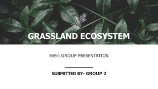 GRASSLAND ECOSYSTEM
EVS-1 GROUP PRESENTATION
SUBMITTED BY- GROUP 2
 