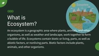 What is
Ecosystem?
An ecosystem is a geographic area where plants, animals, and other
organisms, as well as weather and landscape, work together to form
a bubble of life. Ecosystems contain biotic or living, parts, as well as
abiotic factors, or nonliving parts. Biotic factors include plants,
animals, and other organisms.
 