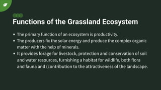 Functions of the Grassland Ecosystem
The primary function of an ecosystem is productivity.
The producers fix the solar energy and produce the complex organic
matter with the help of minerals.
It provides forage for livestock, protection and conservation of soil
and water resources, furnishing a habitat for wildlife, both flora
and fauna and (contribution to the attractiveness of the landscape.
 