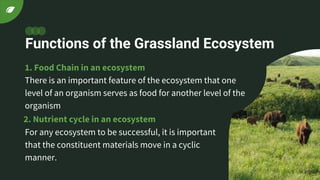 Functions of the Grassland Ecosystem
There is an important feature of the ecosystem that one
level of an organism serves as food for another level of the
organism
1. Food Chain in an ecosystem
For any ecosystem to be successful, it is important
that the constituent materials move in a cyclic
manner.
2. Nutrient cycle in an ecosystem
 