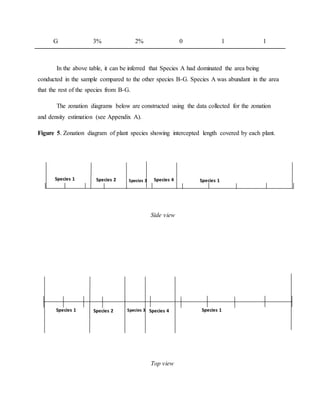 G 3% 2% 0 1 1
In the above table, it can be inferred that Species A had dominated the area being
conducted in the sample compared to the other species B-G. Species A was abundant in the area
that the rest of the species from B-G.
The zonation diagrams below are constructed using the data collected for the zonation
and density estimation (see Appendix A).
Figure 5. Zonation diagram of plant species showing intercepted length covered by each plant.
Side view
Top view
Species 1 Species 2 Species 3 Species 4 Species 1
Species 1 Species 2 Species 3 Species 4 Species 1
 